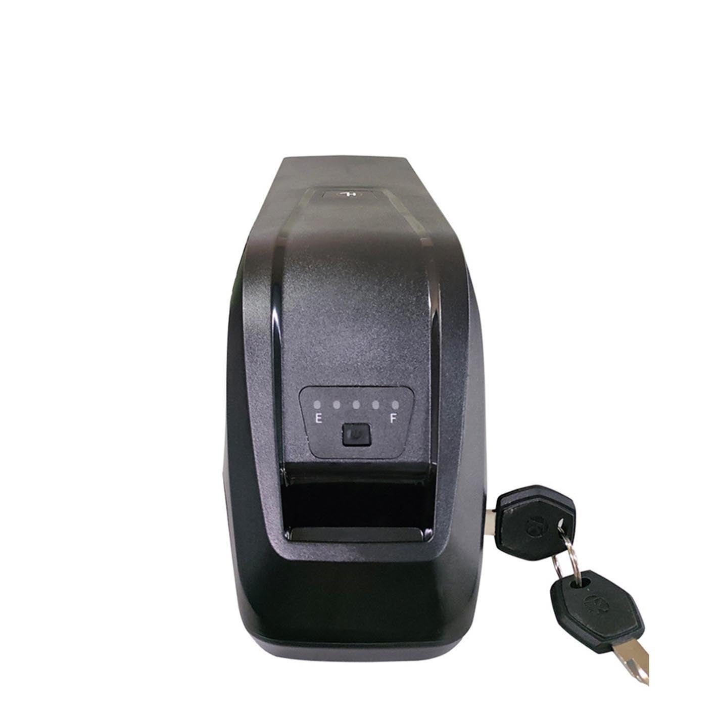 Hailong 48V Lithium Battery for Electric Bicycle