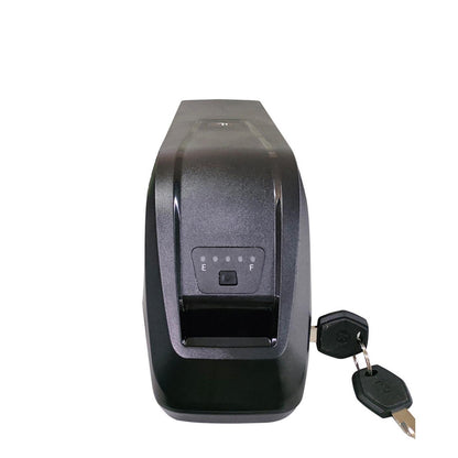 Hailong 48V Lithium Battery for Electric Bicycle
