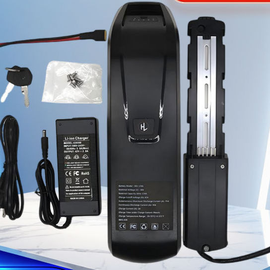 Hailong 48V Lithium Battery for Electric Bicycle