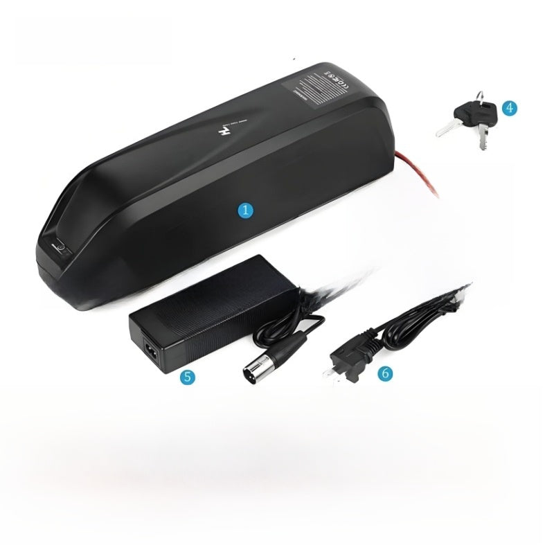 Hailong Type 2 Power Assisted Battery