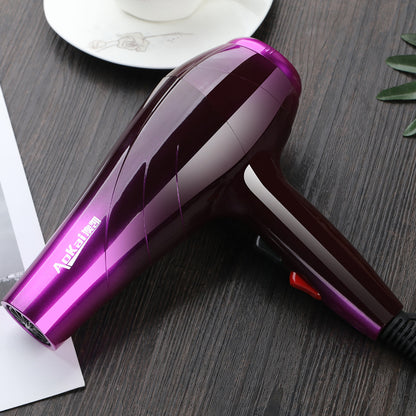 Hair dryer