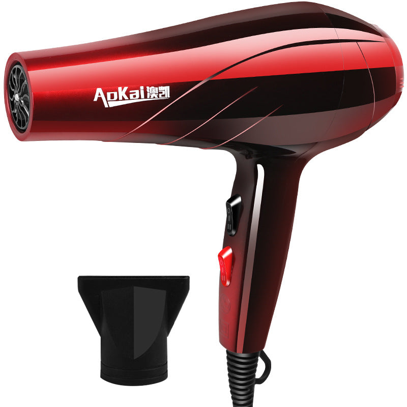 Hair dryer