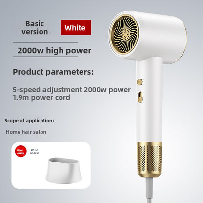 Hair Dryer with Negative Ion and Constant Temperature