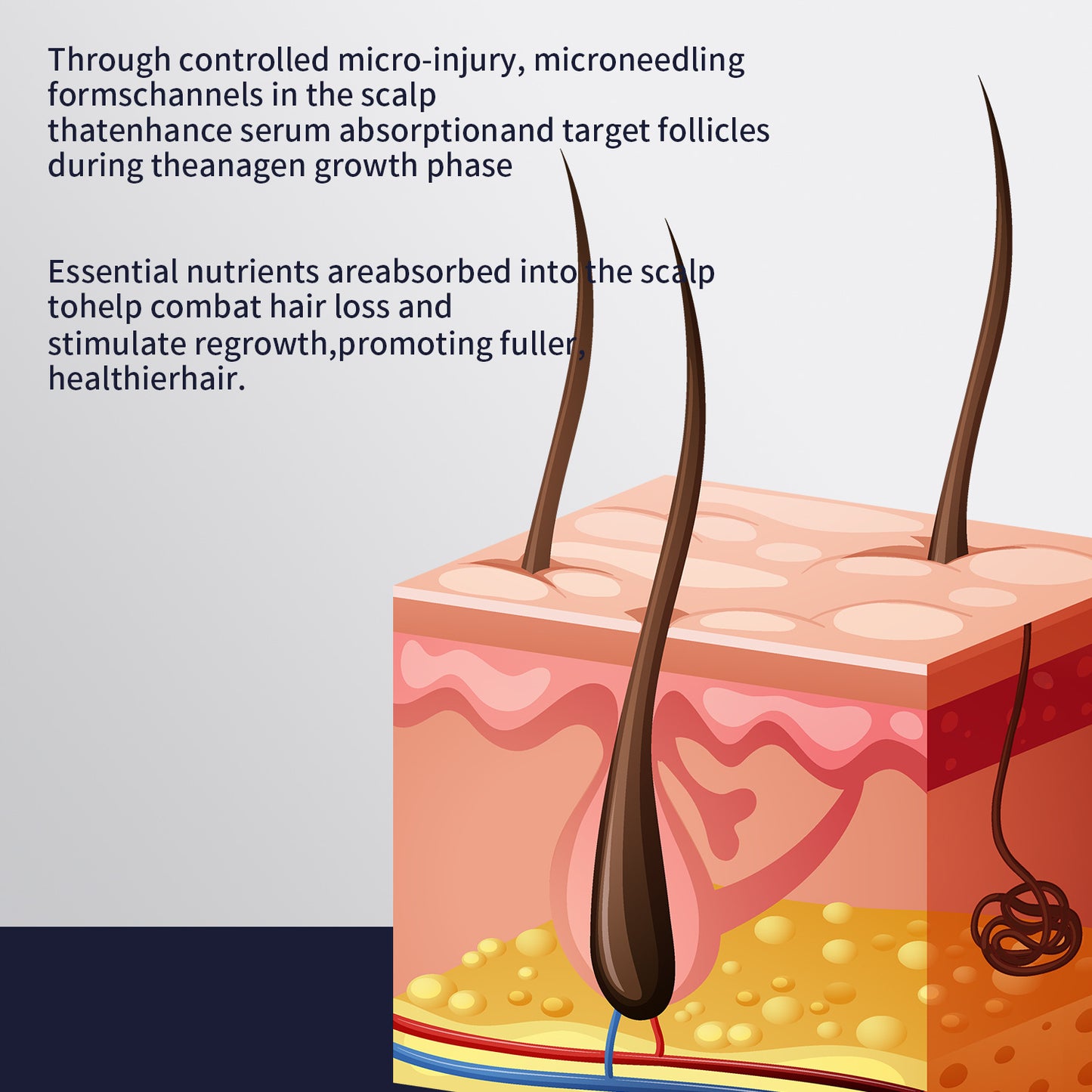 Hair Regrowth Strengthening Essence