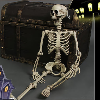 Halloween Plastic Skeleton Prop