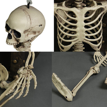 Halloween Plastic Skeleton Prop