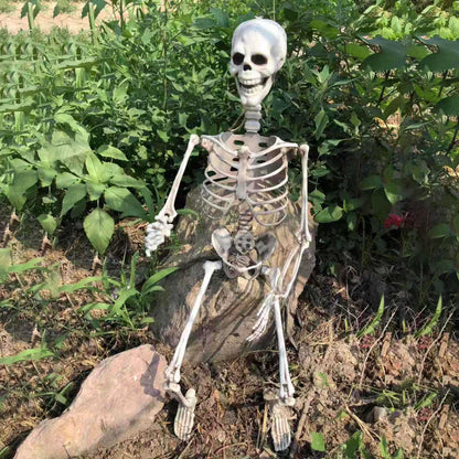 Halloween Plastic Skeleton Prop