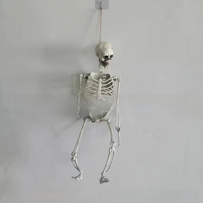 Halloween Plastic Skeleton Prop