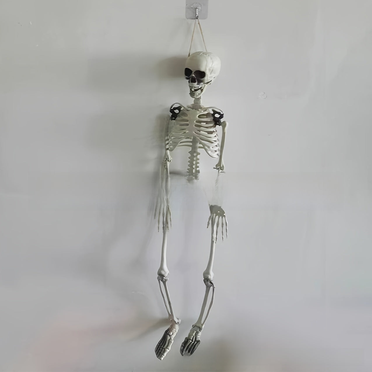 Halloween Plastic Skeleton Prop