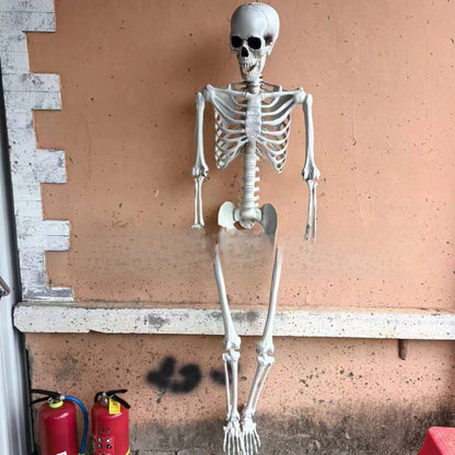 Halloween Plastic Skeleton Prop