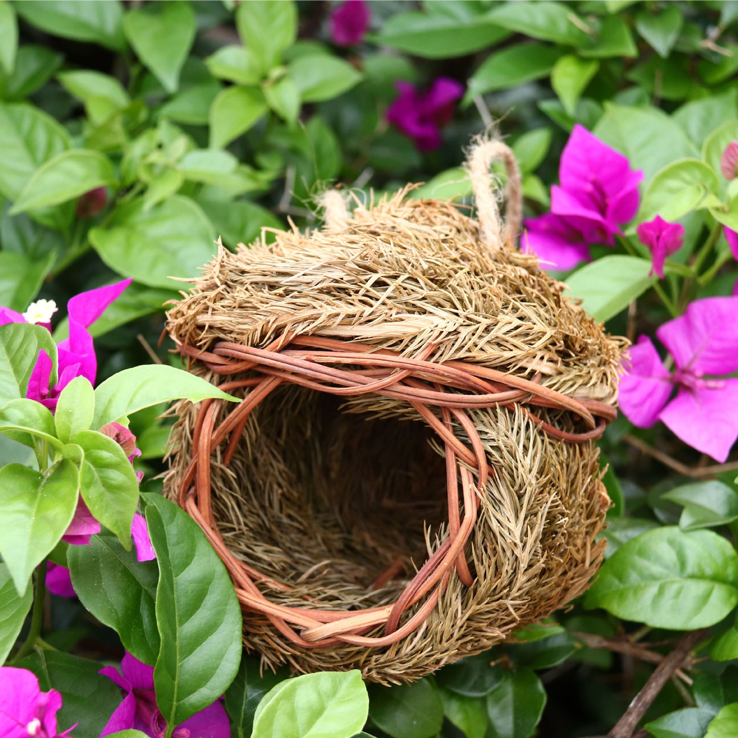 Hand-woven bird’s nest