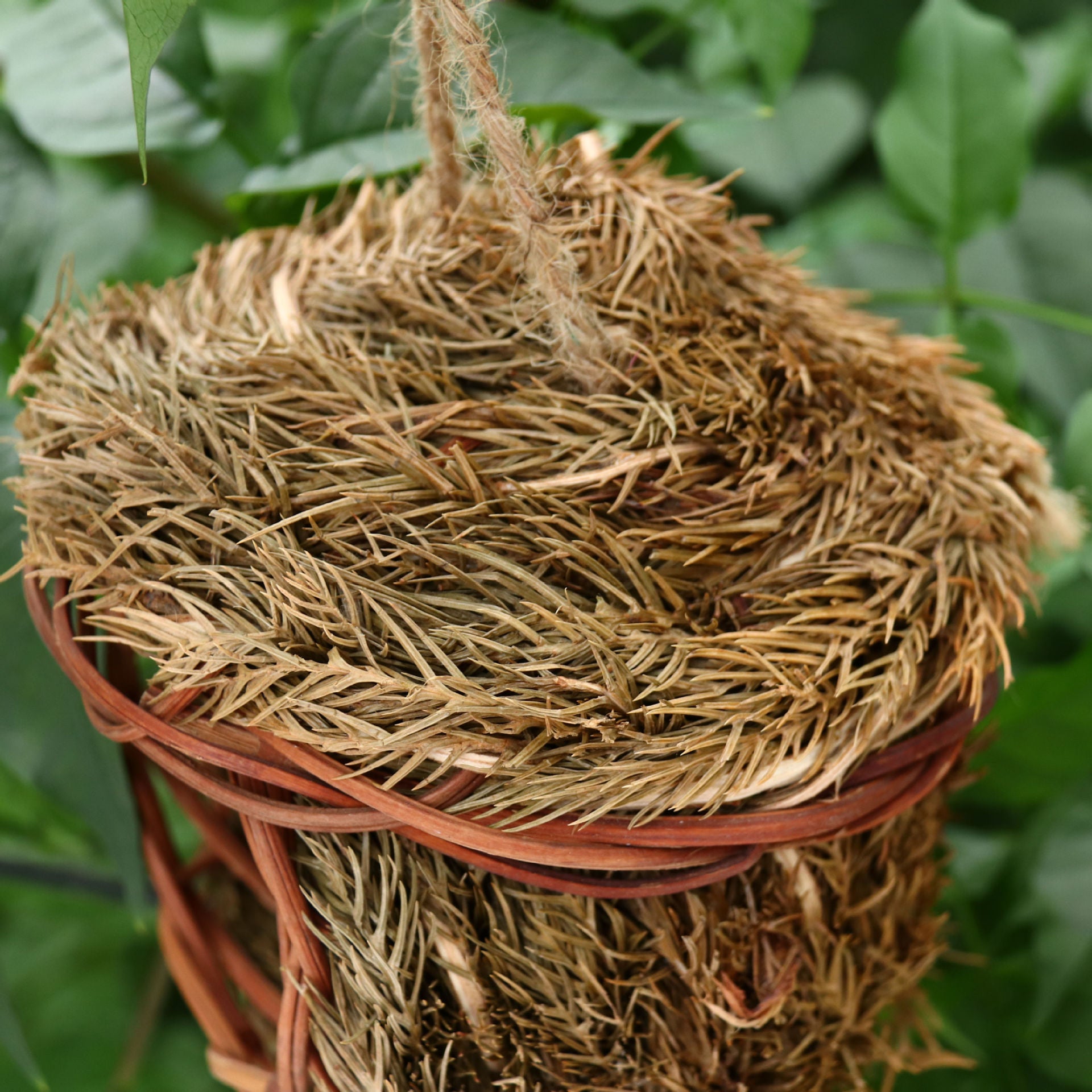 Hand-woven bird’s nest