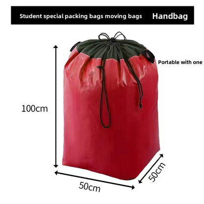 Handbag moving bag