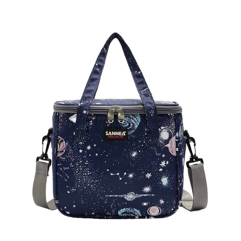 Handheld Bento Picnic Bag