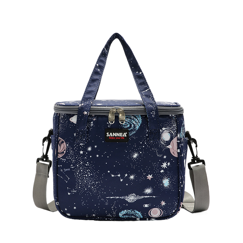 Handheld Bento Picnic Bag
