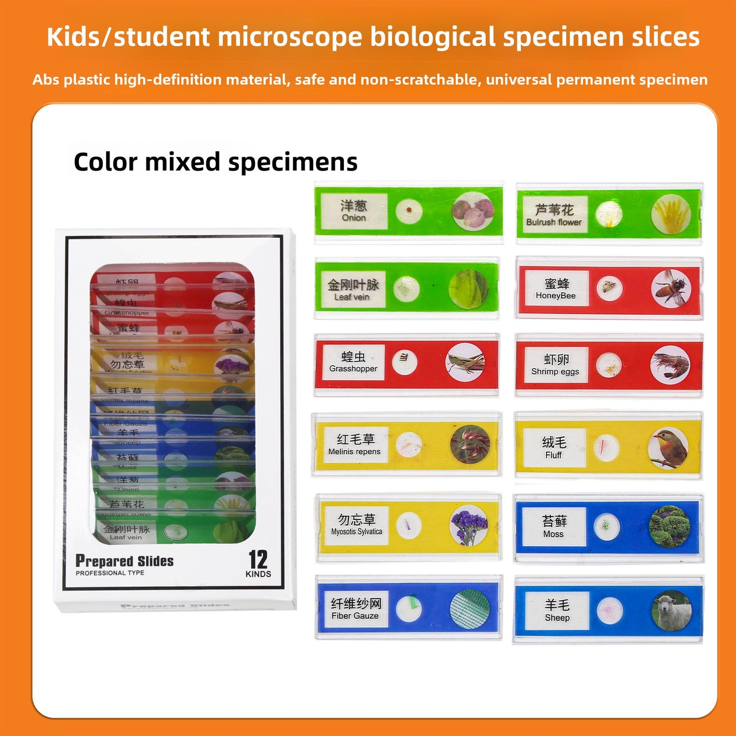 Handheld Childrens Microscope