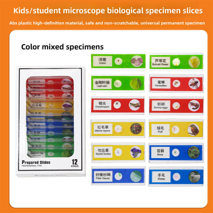 Handheld Childrens Microscope