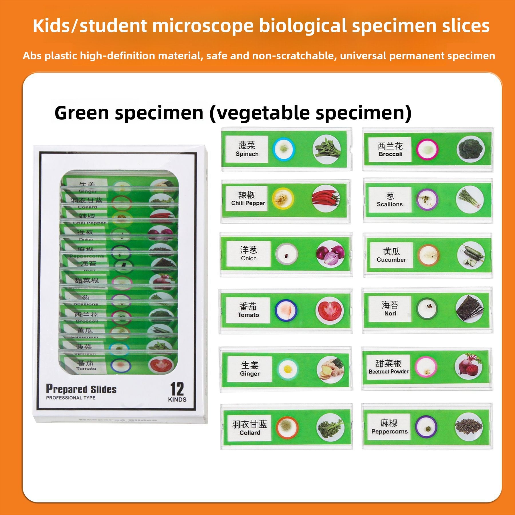 Handheld Childrens Microscope