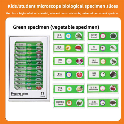 Handheld Childrens Microscope