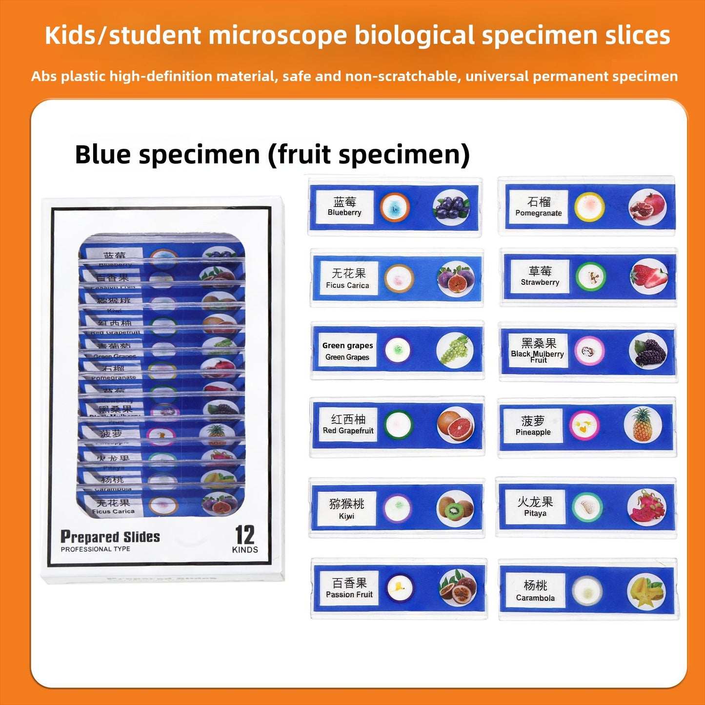 Handheld Childrens Microscope