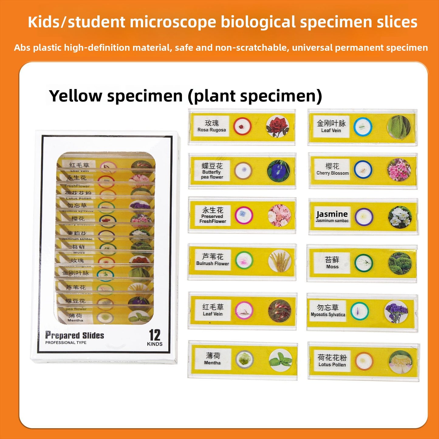Handheld Childrens Microscope