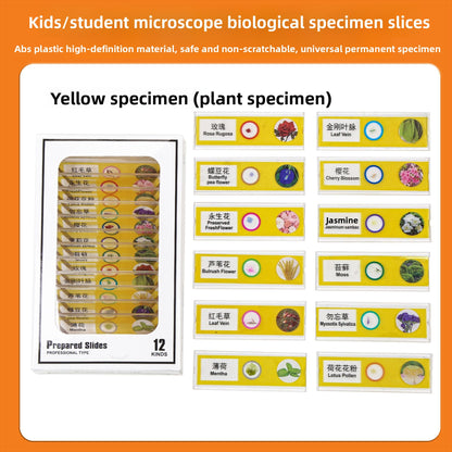 Handheld Childrens Microscope
