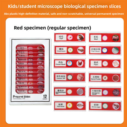 Handheld Childrens Microscope