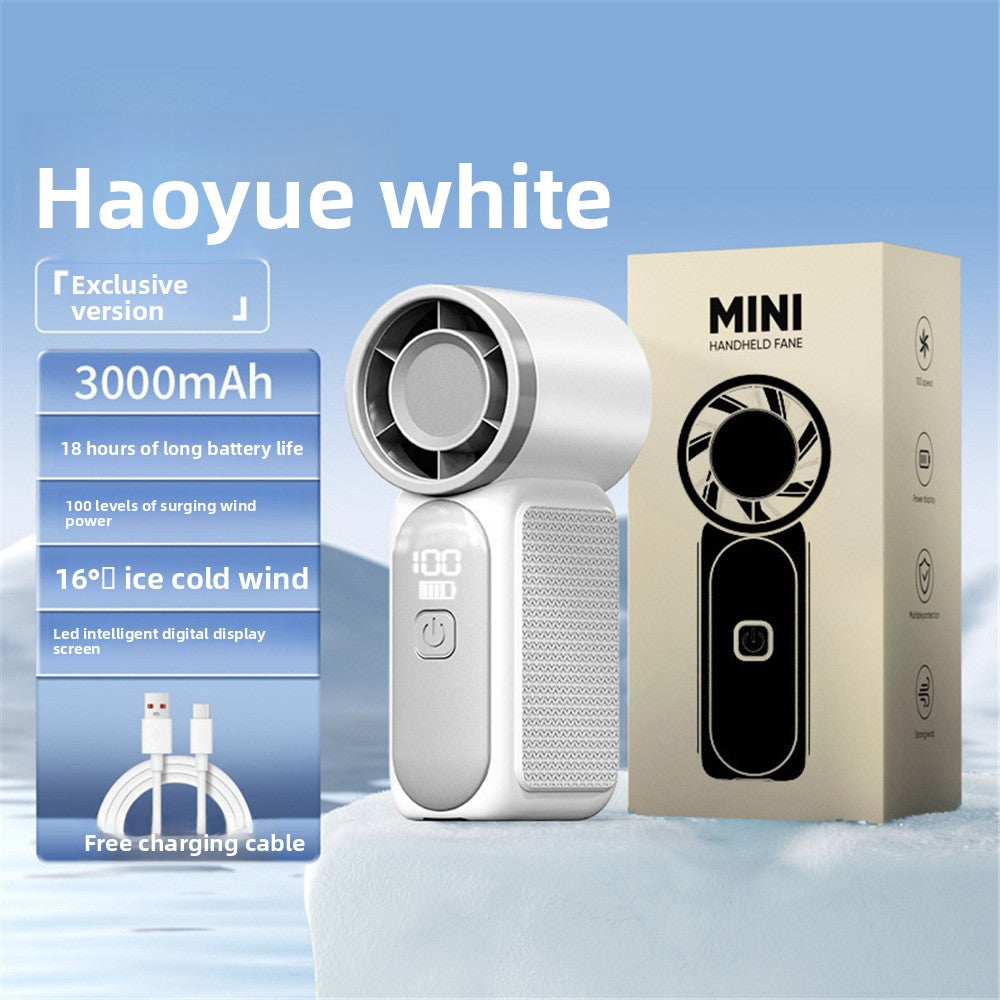 Handheld electric fan