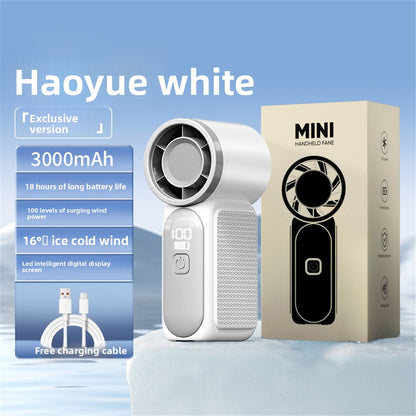 Handheld electric fan