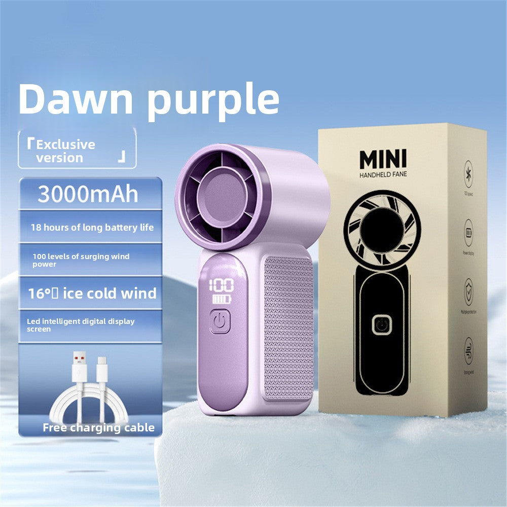 Handheld electric fan