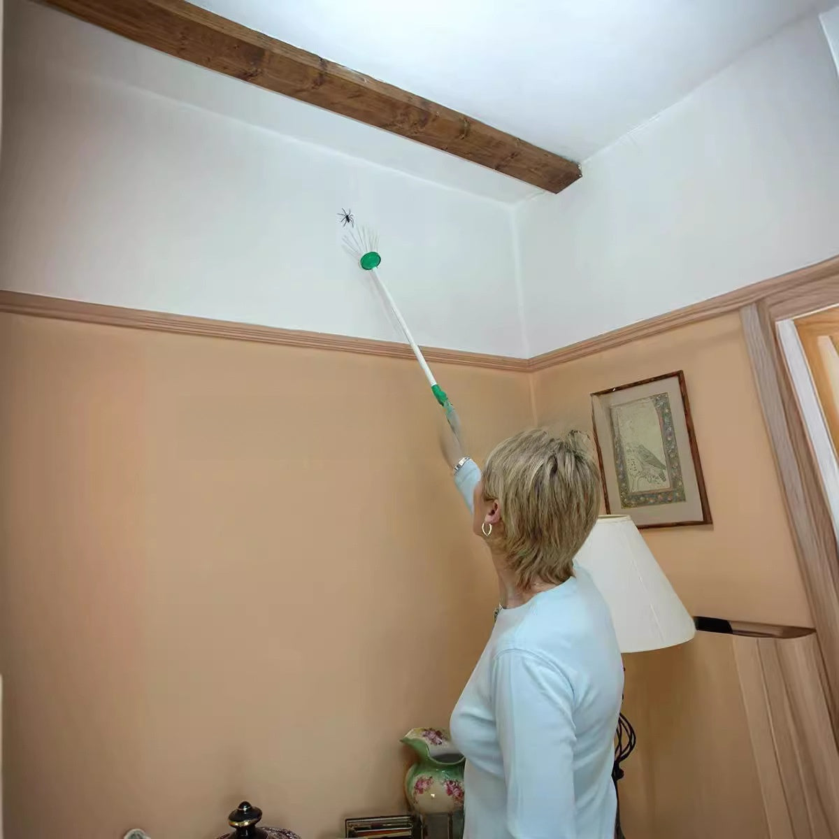 Handheld Insect Catcher Tool