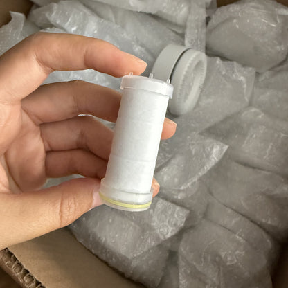 Handheld Shower Head with Multiple Spray Modes