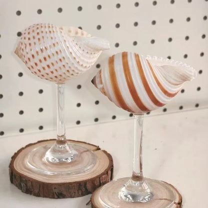 Handmade Shell Conch Aromatherapy Dish