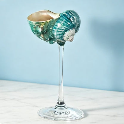 Handmade Shell Conch Aromatherapy Dish