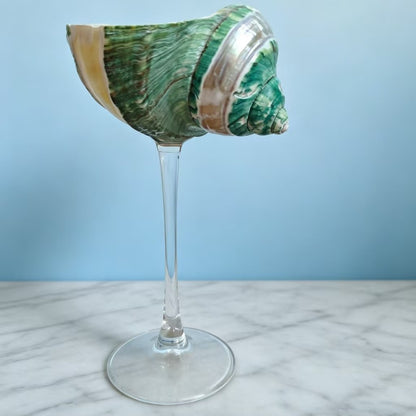 Handmade Shell Conch Aromatherapy Dish