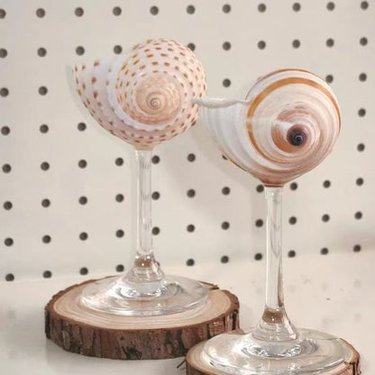 Handmade Shell Conch Aromatherapy Dish