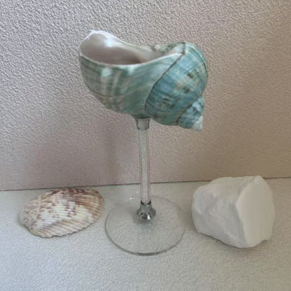 Handmade Shell Conch Aromatherapy Dish