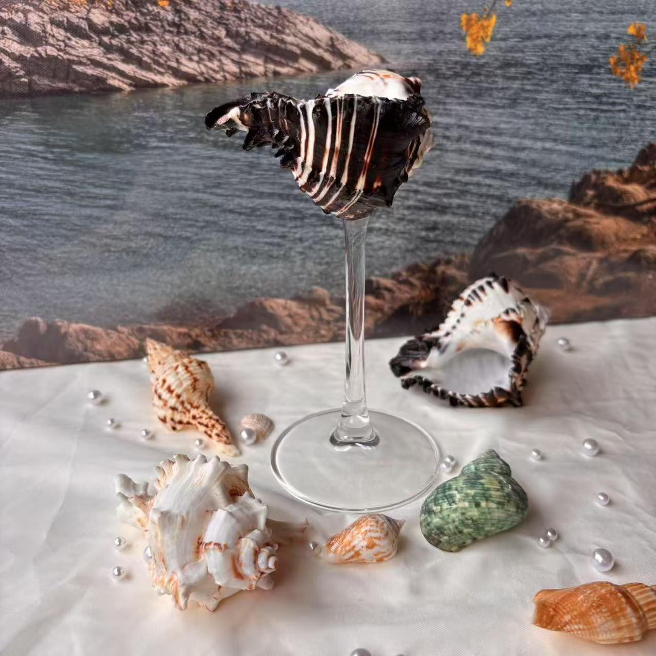 Handmade Shell Conch Aromatherapy Dish