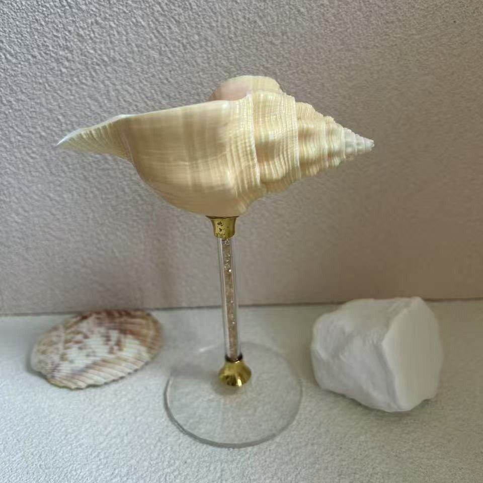 Handmade Shell Conch Aromatherapy Dish