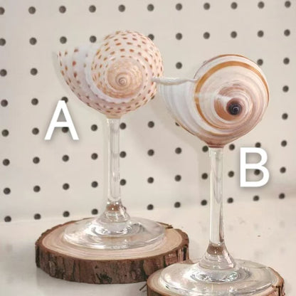 Handmade Shell Conch Aromatherapy Dish
