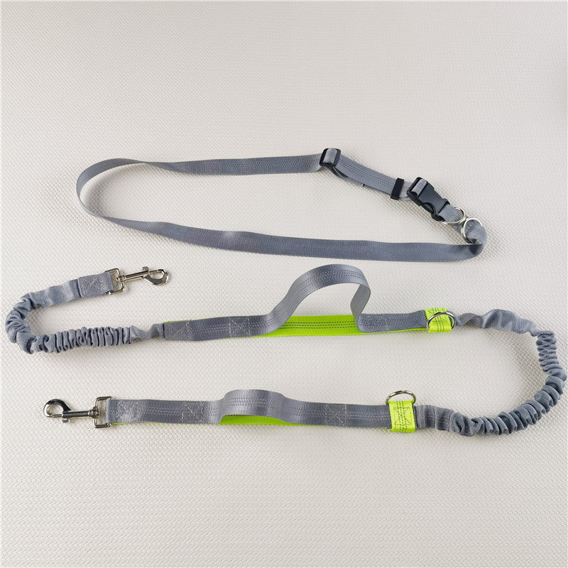 Hands-free leash for dogs and cats
