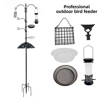 Hang a bird feeder