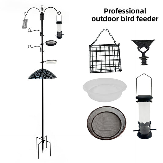 Hang a bird feeder