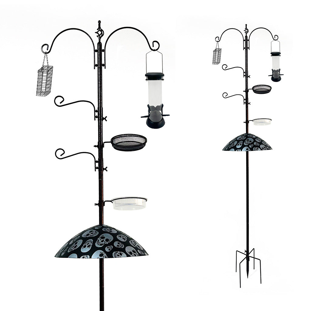 Hang a bird feeder