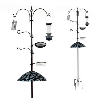 Hang a bird feeder