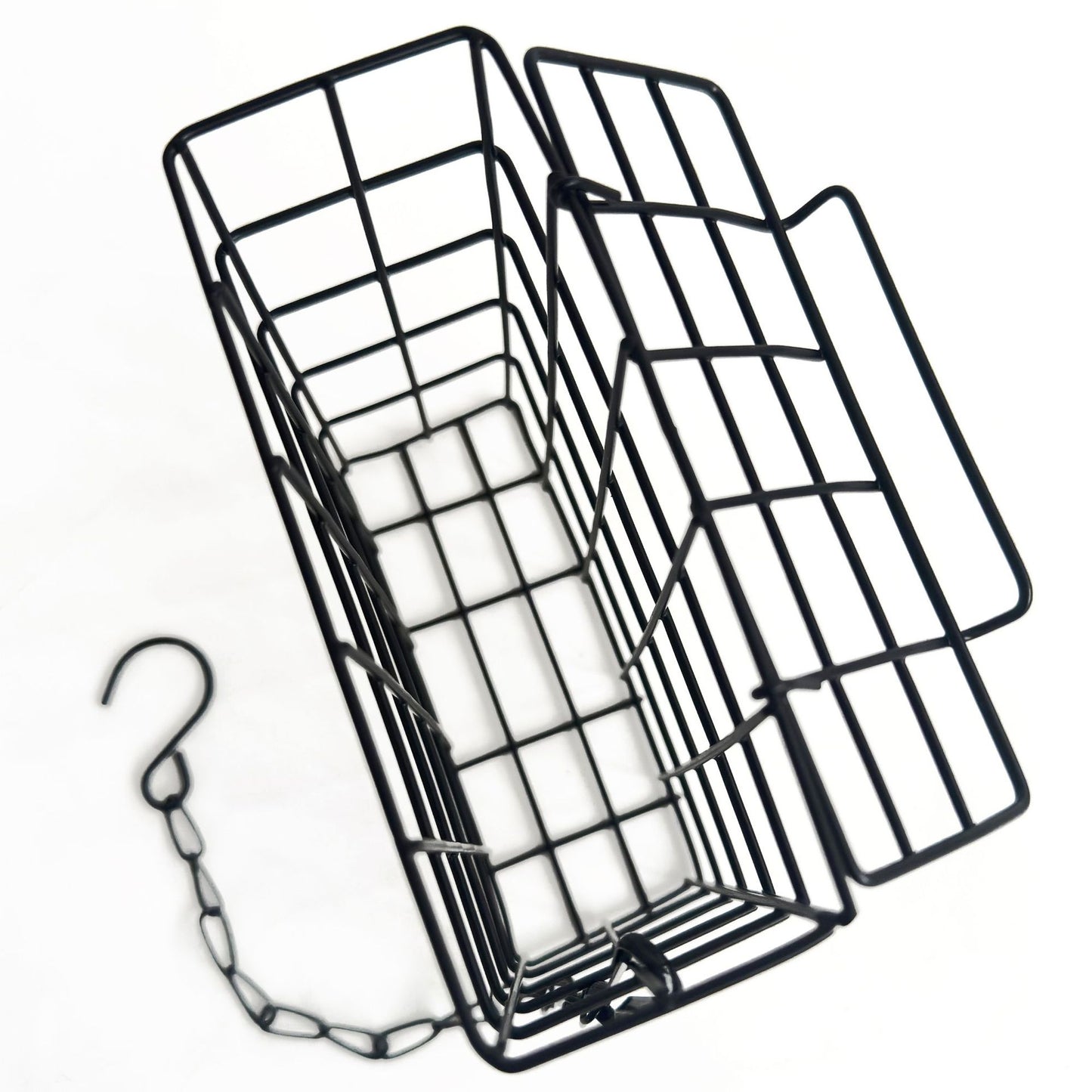 Hang a bird feeder