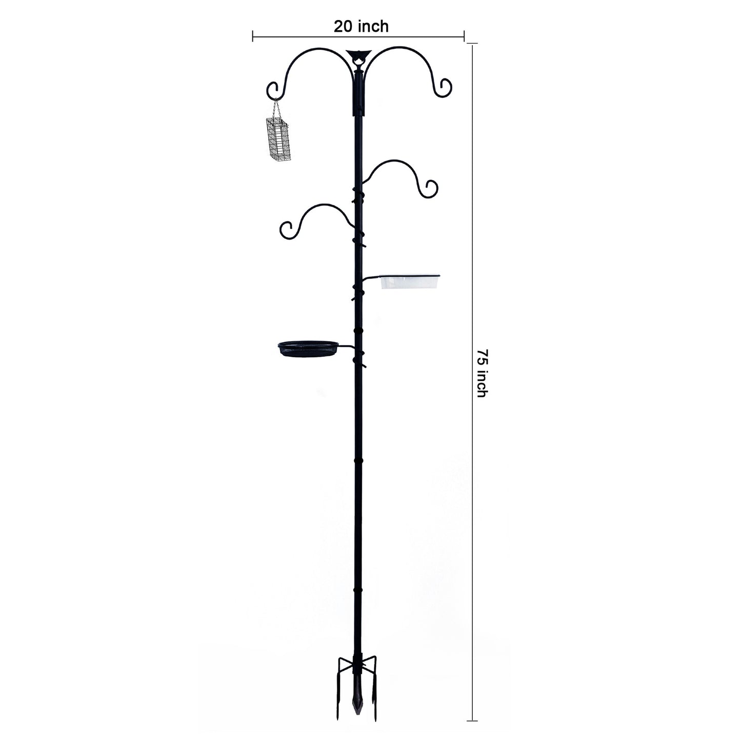Hang a bird feeder