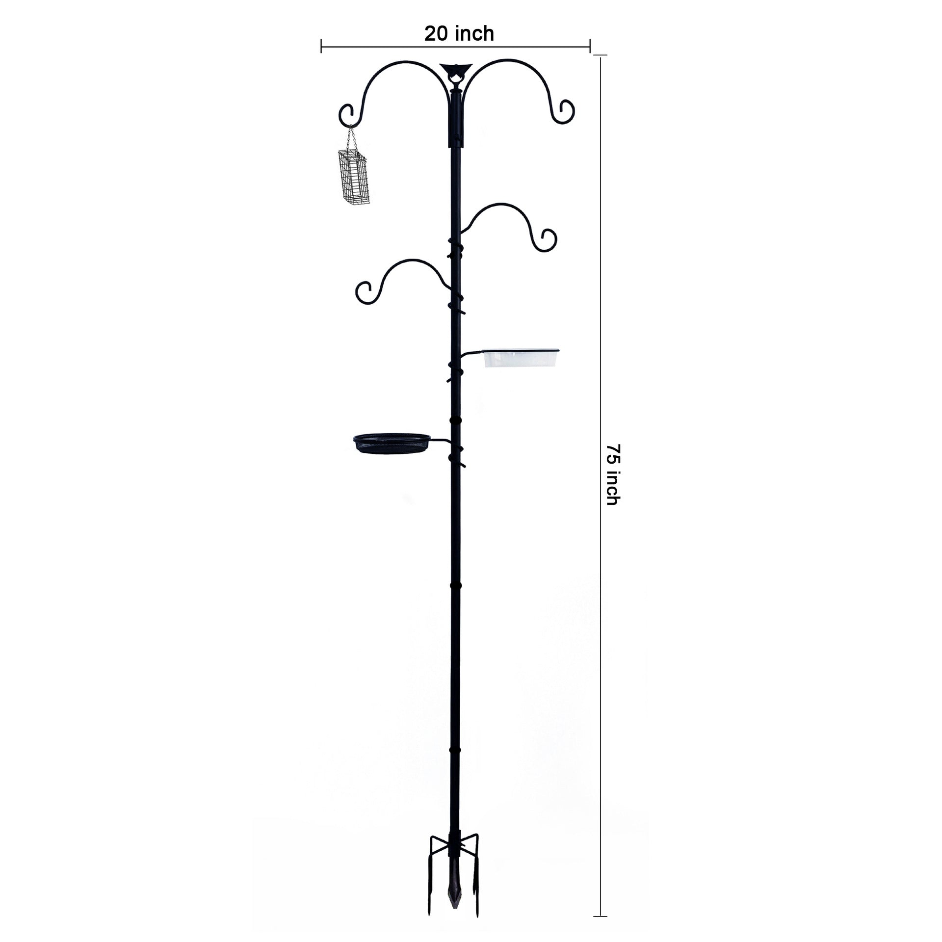 Hang a bird feeder