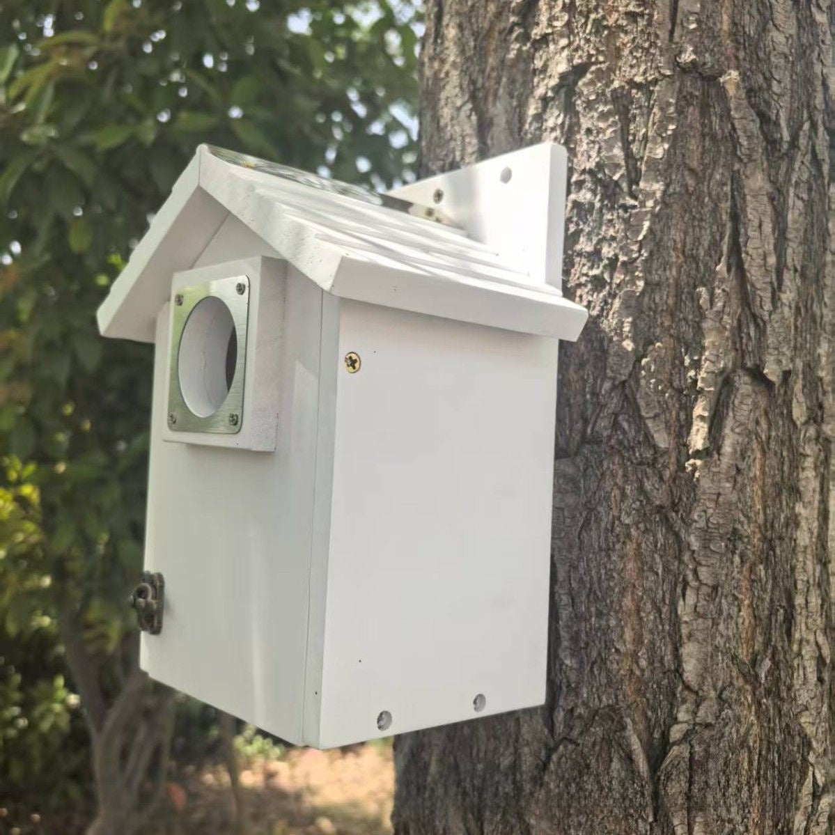 Hanging birdhouse