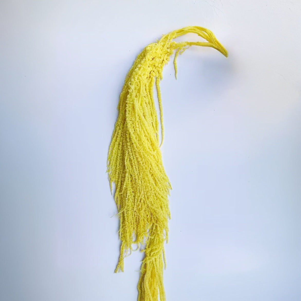Hanging Everlasting Tear-Drop Floral Arrangement